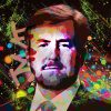 King Willem Alexander